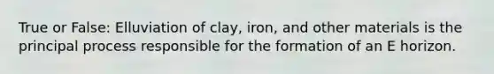 True or False: Elluviation of clay, iron, and other materials is the principal process responsible for the formation of an E horizon.