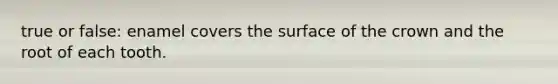 true or false: enamel covers the surface of the crown and the root of each tooth.