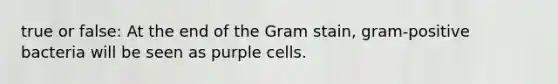 true or false: At the end of the Gram stain, gram-positive bacteria will be seen as purple cells.