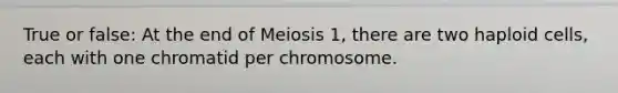 True or false: At the end of Meiosis 1, there are two haploid cells, each with one chromatid per chromosome.