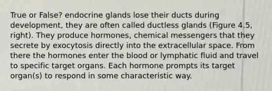 True or False? endocrine glands lose their ducts during development, they are often called ductless glands (Figure 4.5, right). They produce hormones, chemical messengers that they secrete by exocytosis directly into the extracellular space. From there the hormones enter the blood or lymphatic fluid and travel to specific target organs. Each hormone prompts its target organ(s) to respond in some characteristic way.