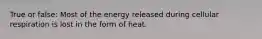 True or false: Most of the energy released during cellular respiration is lost in the form of heat.