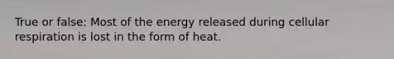 True or false: Most of the energy released during <a href='https://www.questionai.com/knowledge/k1IqNYBAJw-cellular-respiration' class='anchor-knowledge'>cellular respiration</a> is lost in the form of heat.