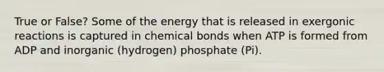 True or False? Some of the energy that is released in exergonic reactions is captured in chemical bonds when ATP is formed from ADP and inorganic (hydrogen) phosphate (Pi).