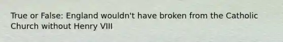 True or False: England wouldn't have broken from the Catholic Church without Henry VIII