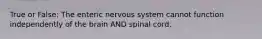 True or False: The enteric nervous system cannot function independently of the brain AND spinal cord.