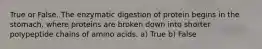 True or False. The enzymatic digestion of protein begins in the stomach, where proteins are broken down into shorter polypeptide chains of amino acids. a) ﻿﻿﻿True ﻿﻿﻿b) False