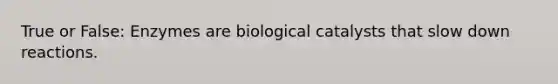 True or False: Enzymes are biological catalysts that slow down reactions.