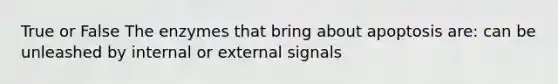True or False The enzymes that bring about apoptosis are: can be unleashed by internal or external signals
