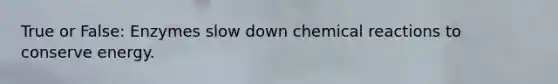 True or False: Enzymes slow down chemical reactions to conserve energy.