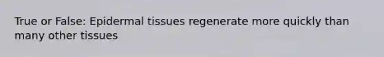 True or False: Epidermal tissues regenerate more quickly than many other tissues