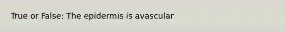 True or False: The epidermis is avascular