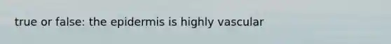 true or false: the epidermis is highly vascular