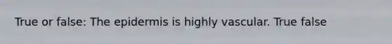 True or false: The epidermis is highly vascular. True false