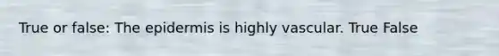True or false: <a href='https://www.questionai.com/knowledge/kBFgQMpq6s-the-epidermis' class='anchor-knowledge'>the epidermis</a> is highly vascular. True False