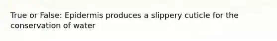 True or False: Epidermis produces a slippery cuticle for the conservation of water
