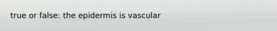 true or false: the epidermis is vascular