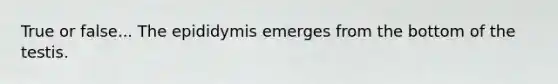 True or false... The epididymis emerges from the bottom of the testis.