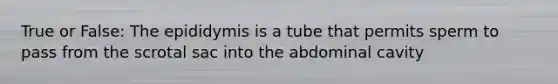 True or False: The epididymis is a tube that permits sperm to pass from the scrotal sac into the abdominal cavity