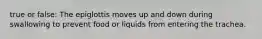 true or false: The epiglottis moves up and down during swallowing to prevent food or liquids from entering the trachea.