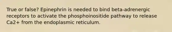 True or false? Epinephrin is needed to bind beta-adrenergic receptors to activate the phosphoinositide pathway to release Ca2+ from the endoplasmic reticulum.