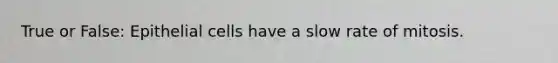 True or False: Epithelial cells have a slow rate of mitosis.