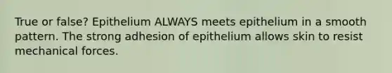 True or false? Epithelium ALWAYS meets epithelium in a smooth pattern. The strong adhesion of epithelium allows skin to resist mechanical forces.