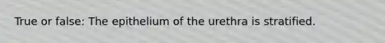 True or false: The epithelium of the urethra is stratified.