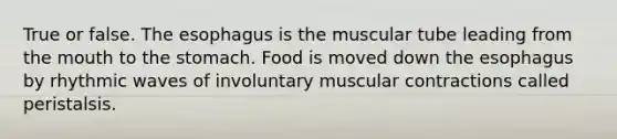 True or false. The esophagus is the muscular tube leading from the mouth to the stomach. Food is moved down the esophagus by rhythmic waves of involuntary muscular contractions called peristalsis.