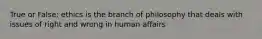 True or False: ethics is the branch of philosophy that deals with issues of right and wrong in human affairs