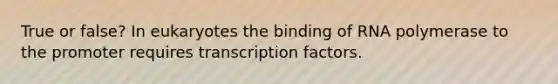 True or false? In eukaryotes the binding of RNA polymerase to the promoter requires transcription factors.