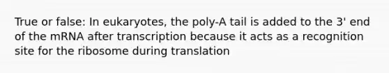 True or false: In eukaryotes, the poly-A tail is added to the 3' end of the mRNA after transcription because it acts as a recognition site for the ribosome during translation