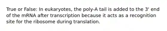 True or False: In eukaryotes, the poly-A tail is added to the 3' end of the mRNA after transcription because it acts as a recognition site for the ribosome during translation.