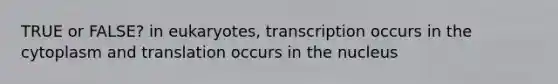 TRUE or FALSE? in eukaryotes, transcription occurs in the cytoplasm and translation occurs in the nucleus