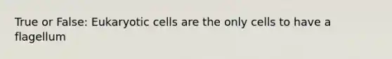 True or False: Eukaryotic cells are the only cells to have a flagellum