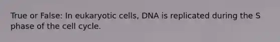 True or False: In <a href='https://www.questionai.com/knowledge/kb526cpm6R-eukaryotic-cells' class='anchor-knowledge'>eukaryotic cells</a>, DNA is replicated during the S phase of the <a href='https://www.questionai.com/knowledge/keQNMM7c75-cell-cycle' class='anchor-knowledge'>cell cycle</a>.