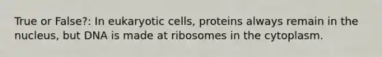 True or False?: In eukaryotic cells, proteins always remain in the nucleus, but DNA is made at ribosomes in the cytoplasm.