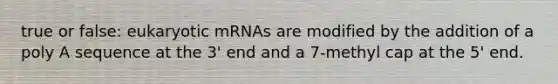 true or false: eukaryotic mRNAs are modified by the addition of a poly A sequence at the 3' end and a 7-methyl cap at the 5' end.