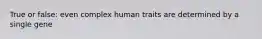 True or false: even complex human traits are determined by a single gene