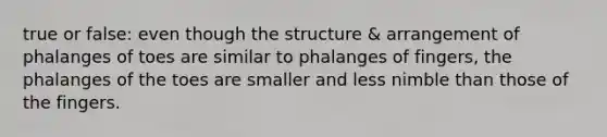 true or false: even though the structure & arrangement of phalanges of toes are similar to phalanges of fingers, the phalanges of the toes are smaller and less nimble than those of the fingers.