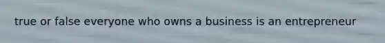 true or false everyone who owns a business is an entrepreneur