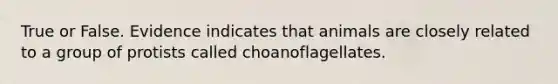 True or False. Evidence indicates that animals are closely related to a group of protists called choanoflagellates.