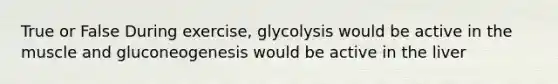 True or False During exercise, glycolysis would be active in the muscle and gluconeogenesis would be active in the liver