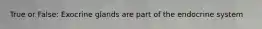 True or False: Exocrine glands are part of the endocrine system