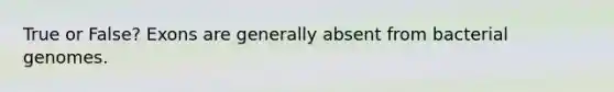 True or False? Exons are generally absent from bacterial genomes.