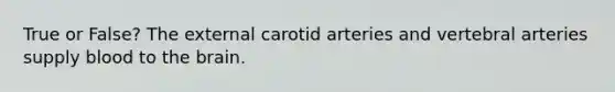 True or False? The external carotid arteries and vertebral arteries supply blood to the brain.