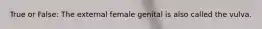 True or False: The external female genital is also called the vulva.