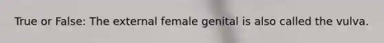 True or False: The external female genital is also called the vulva.