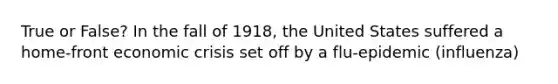 True or False? In the fall of 1918, the United States suffered a home-front economic crisis set off by a flu-epidemic (influenza)