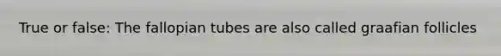 True or false: The fallopian tubes are also called graafian follicles